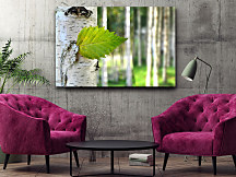 obraz do obývačky lístoček z brezy breza birch